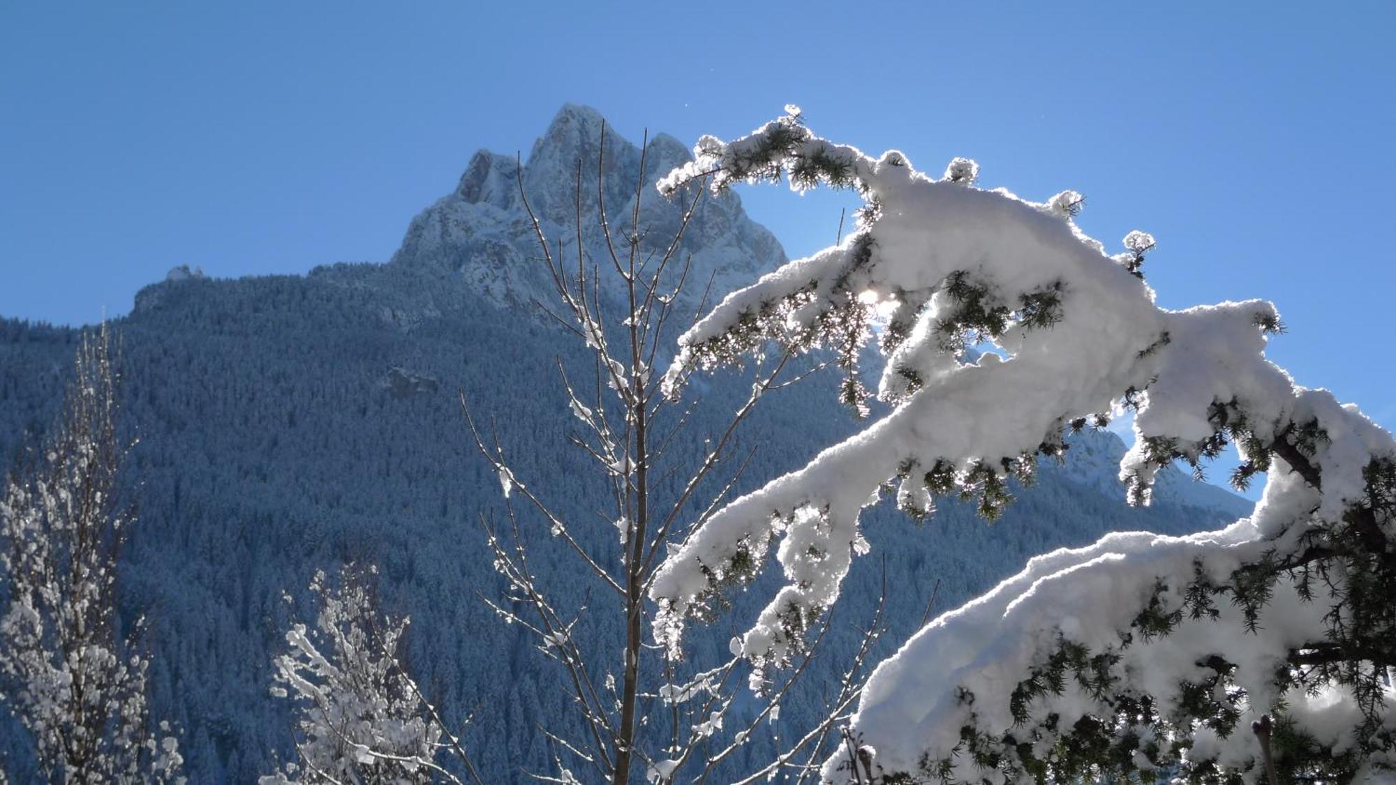 Villa Gemmy Pozza di Fassa Kültér fotó